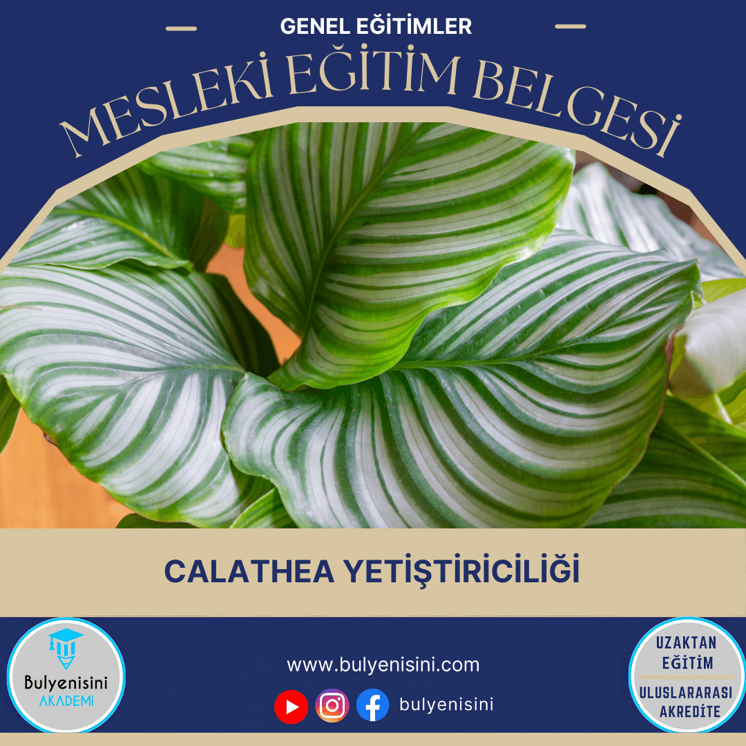 Calathea Yetiştiriciliği Sertifika Programı