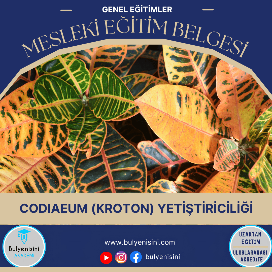 Codiaeum Yetiştiriciliği Sertifika Programı