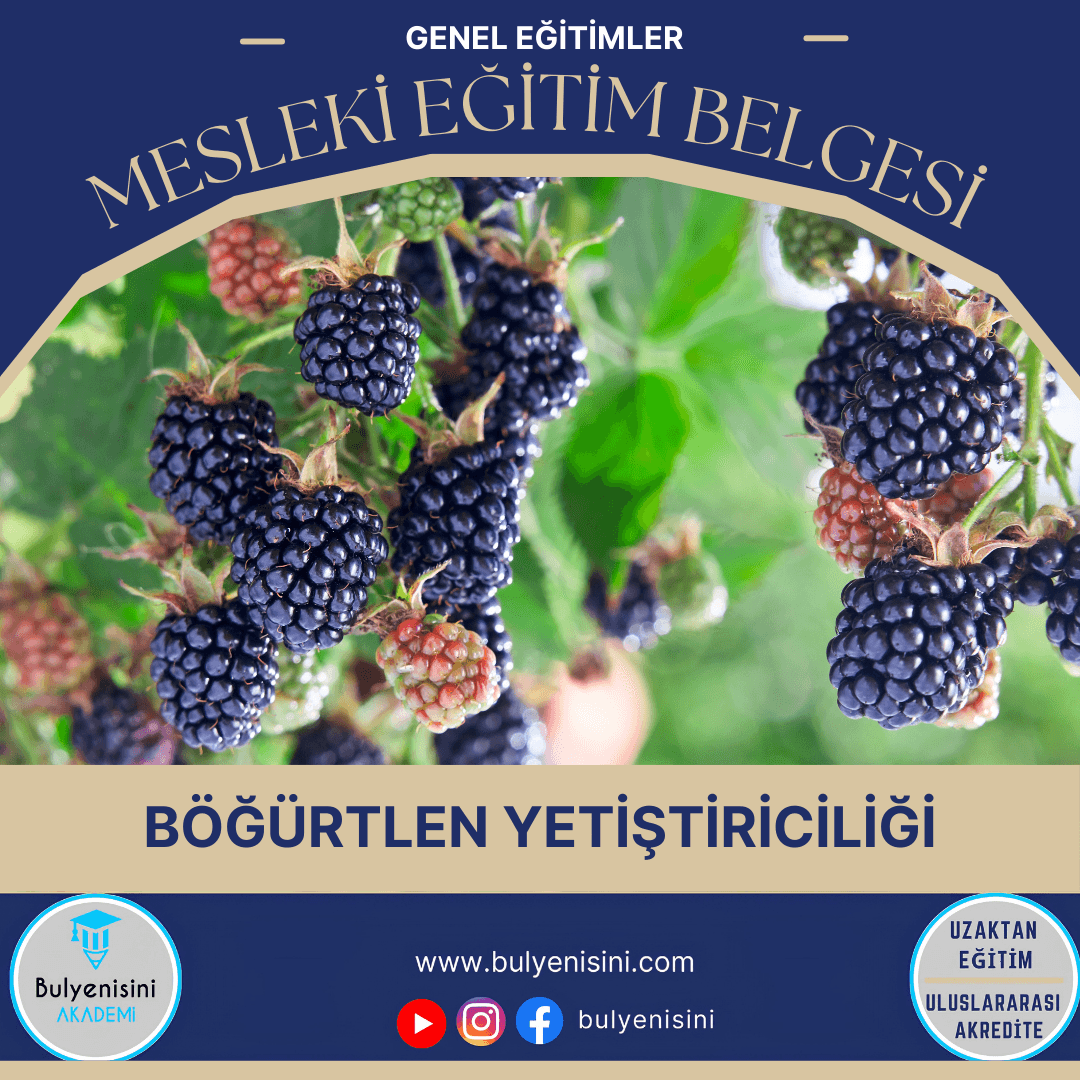 Böğürtlen Yetiştiriciliği Sertifika Programı