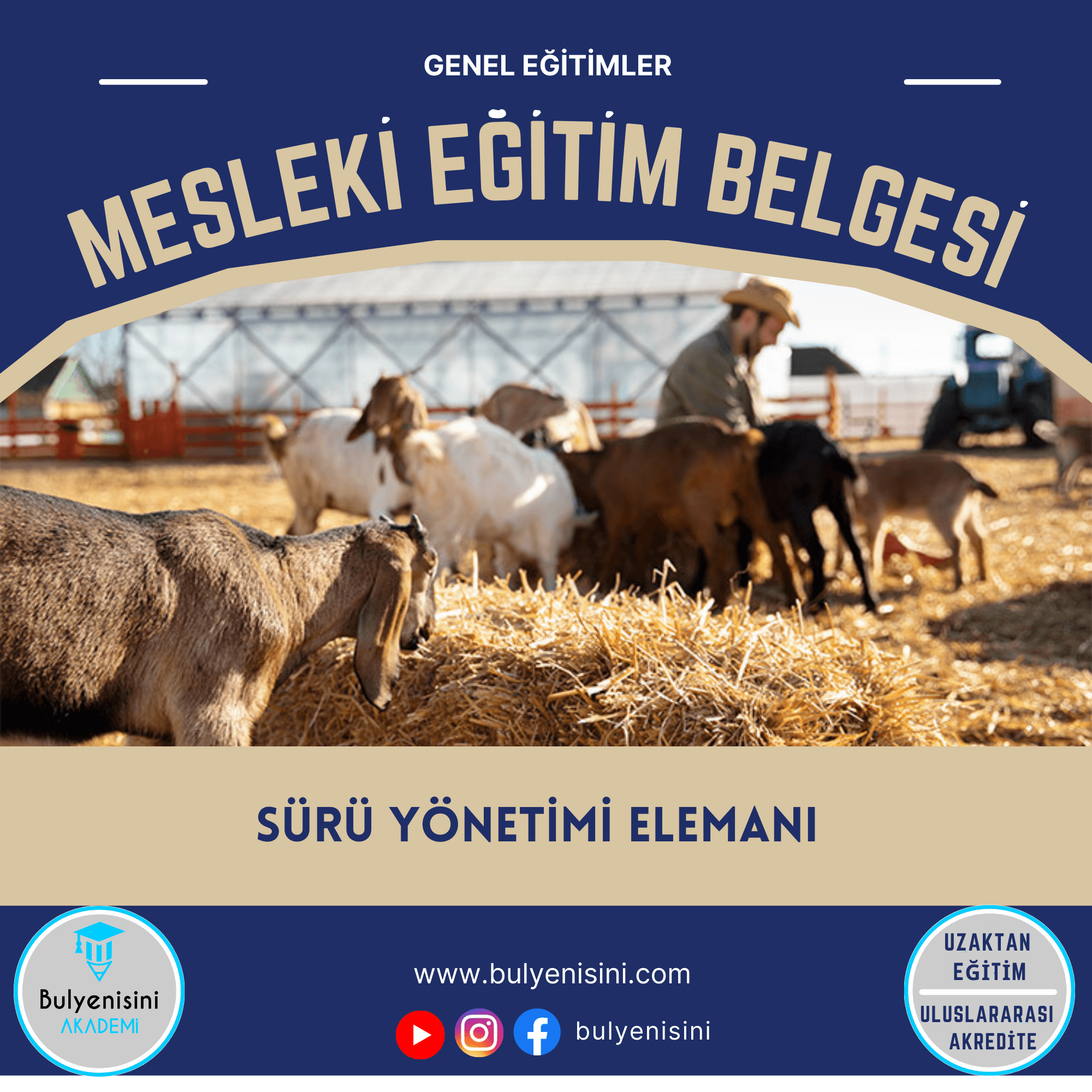 Sürü Yönetimi Elemanı Sertifika Programı