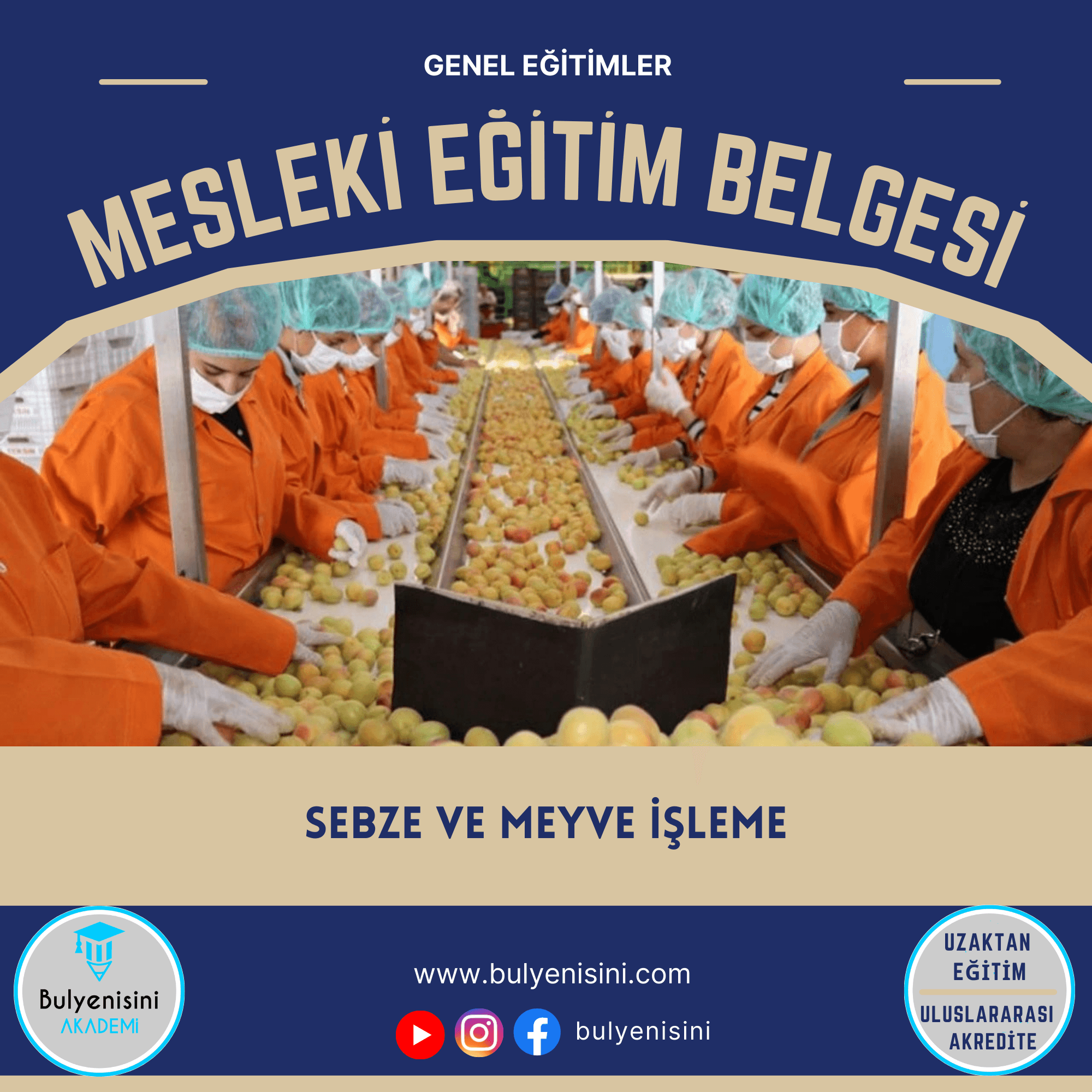 Sebze Ve Meyve İşleme Kalfalık & Ustalık Sertifika ve Eğitim Programı (2 Belge)