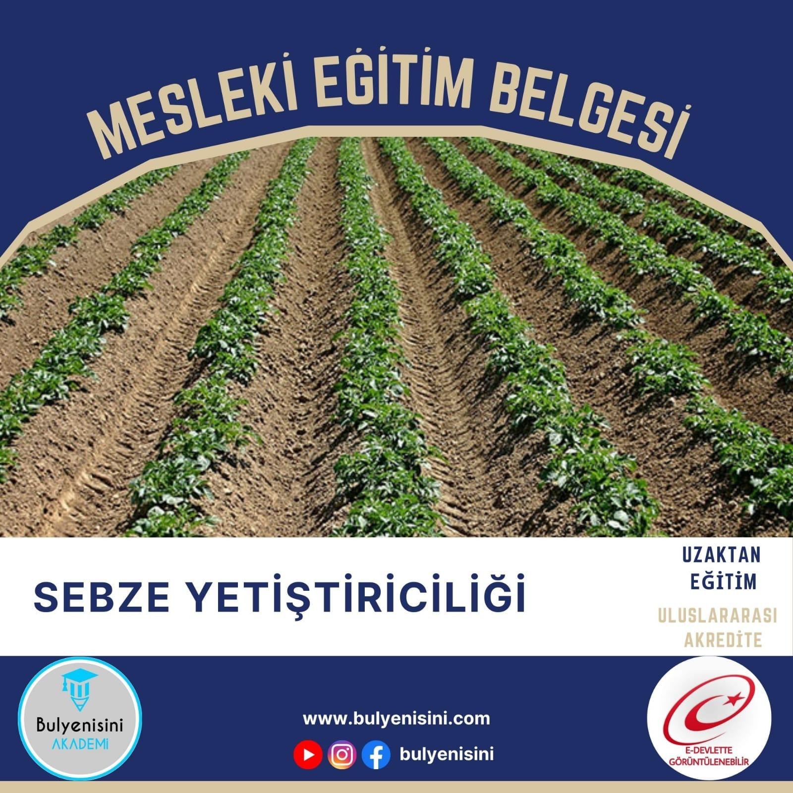 Sebze Yetiştiriciliği