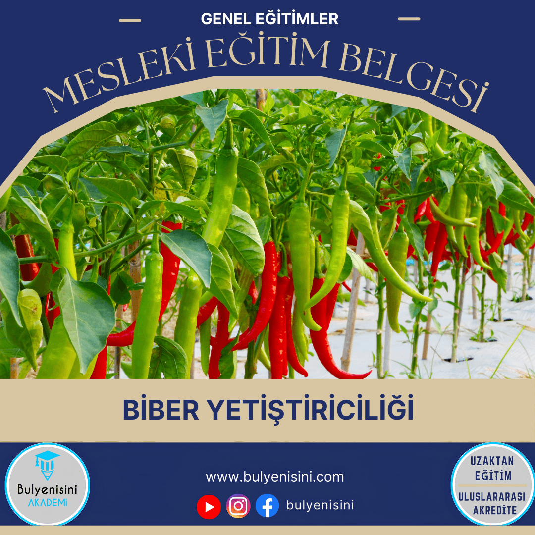 Biber Yetiştiriciliği Sertifika Programı
