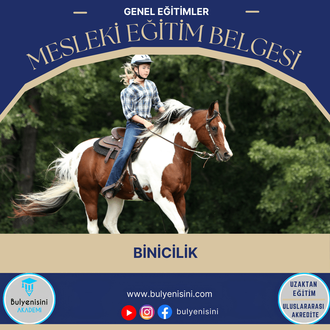 Binicilik Sertifika Programı