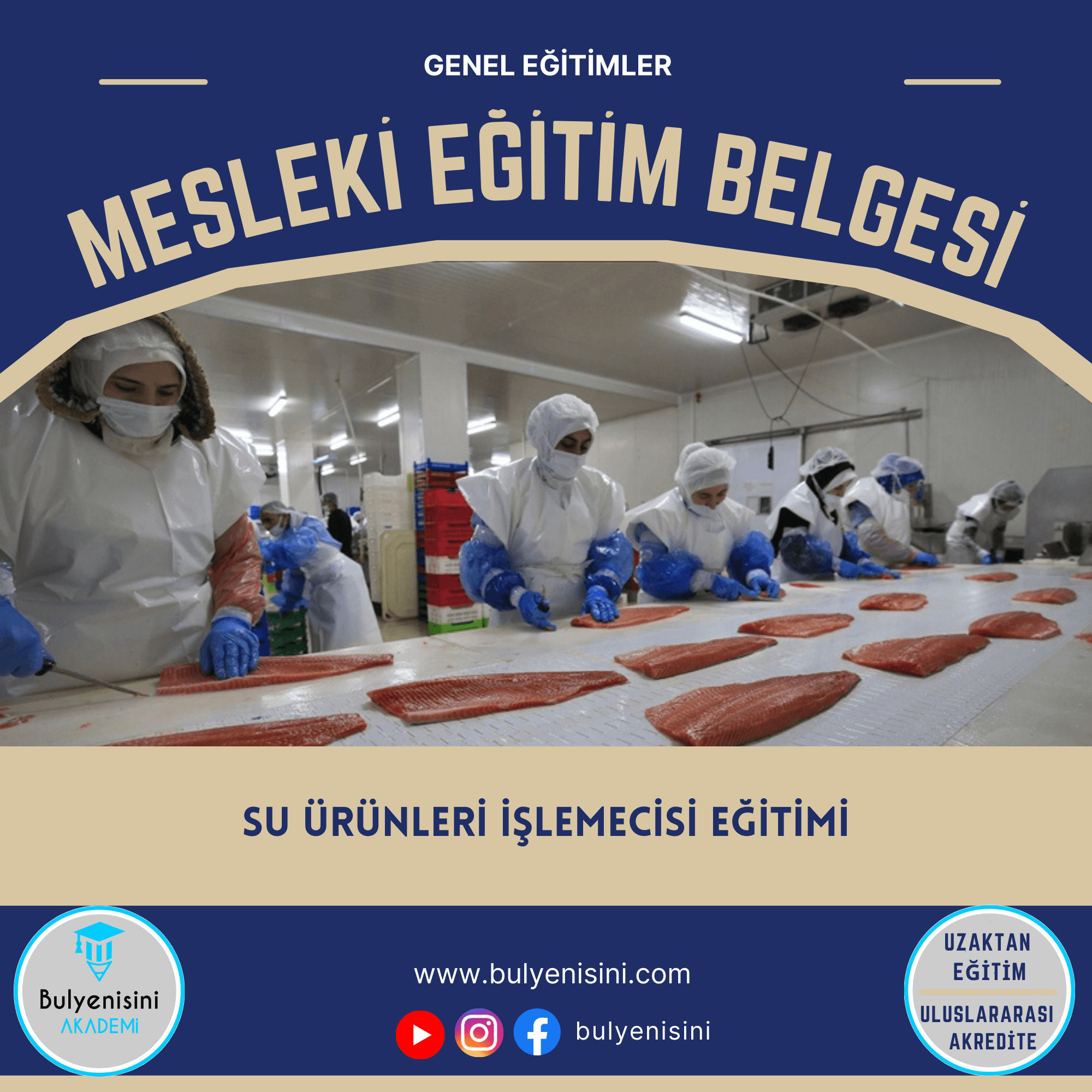 Su Ürünleri İşleme Kalfalık & Ustalık Sertifika ve Eğitim Programı (2 Belge)