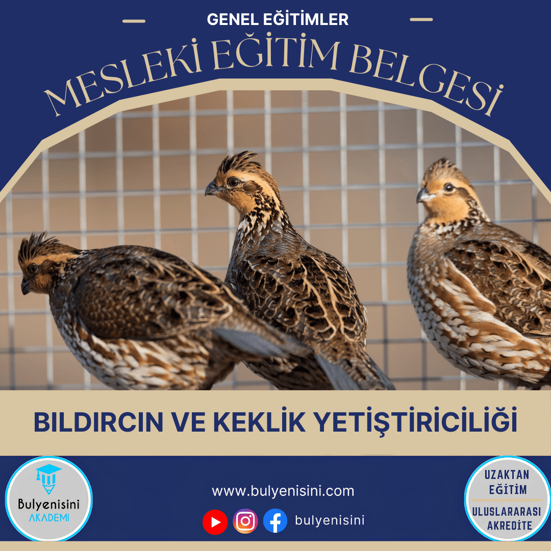 Bıldırcın Ve Keklik Yetiştiriciliği Sertifika Programı