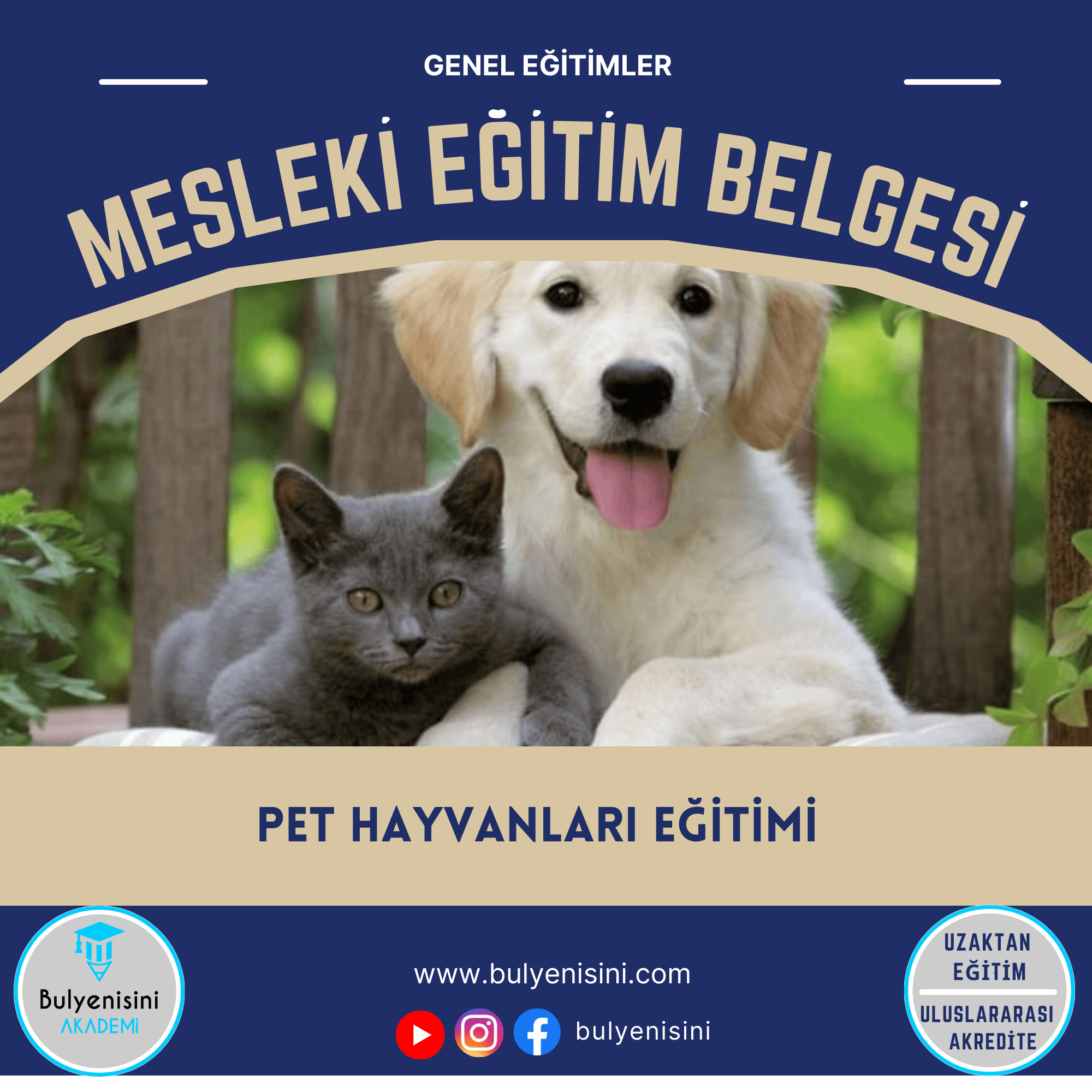 Pet Hayvanları (Kedi-Köpek)