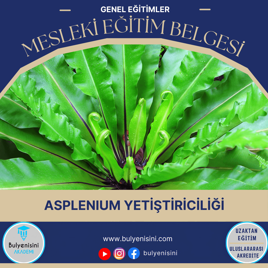 Aspilenium Yetiştiriciliği Sertifika Programı