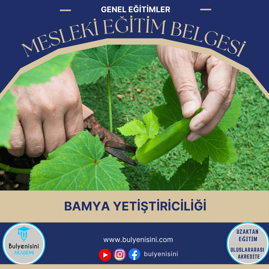 Bamya Yetiştiriciliği Sertifika Programı