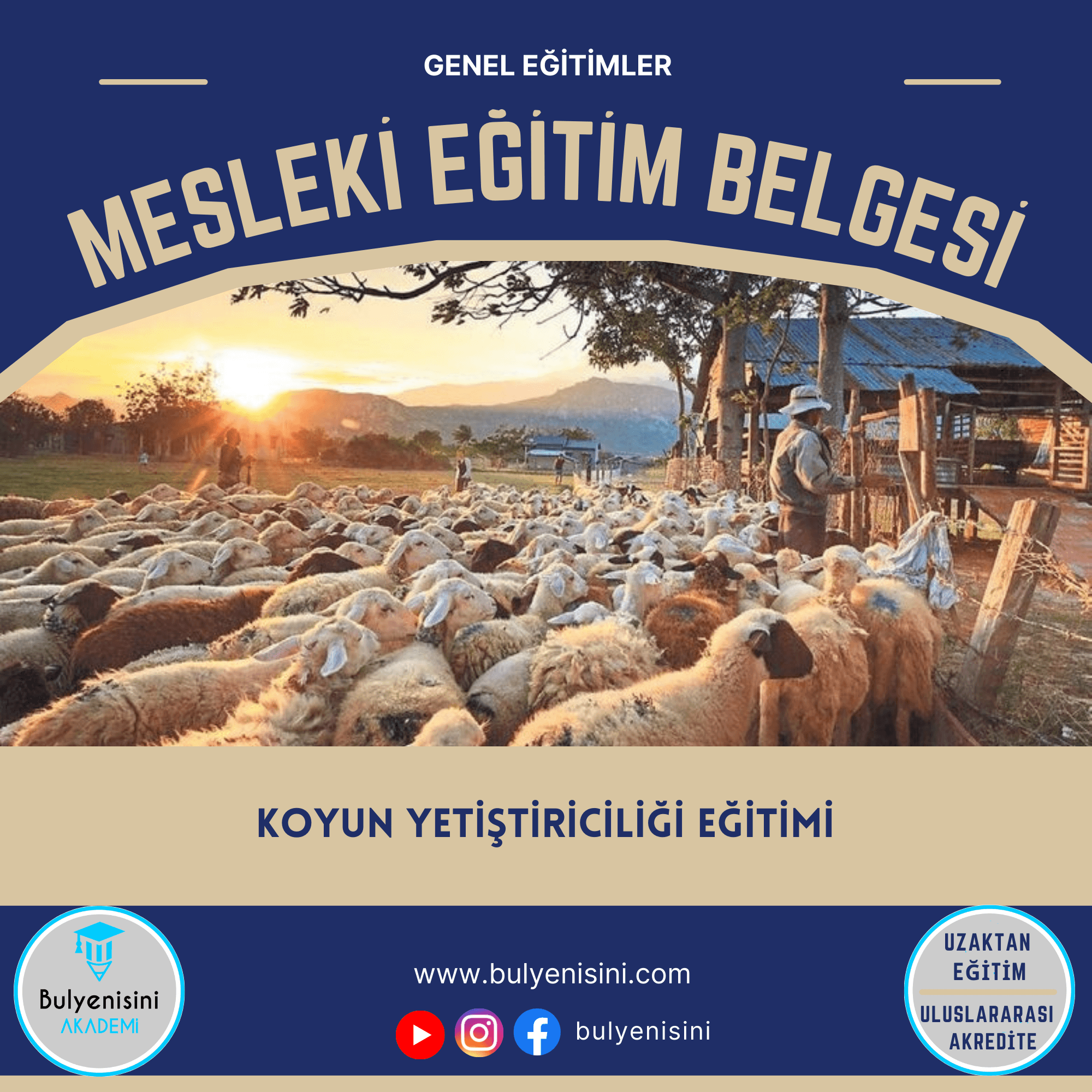 Koyun Yetiştiriciliği Sertifika Programı