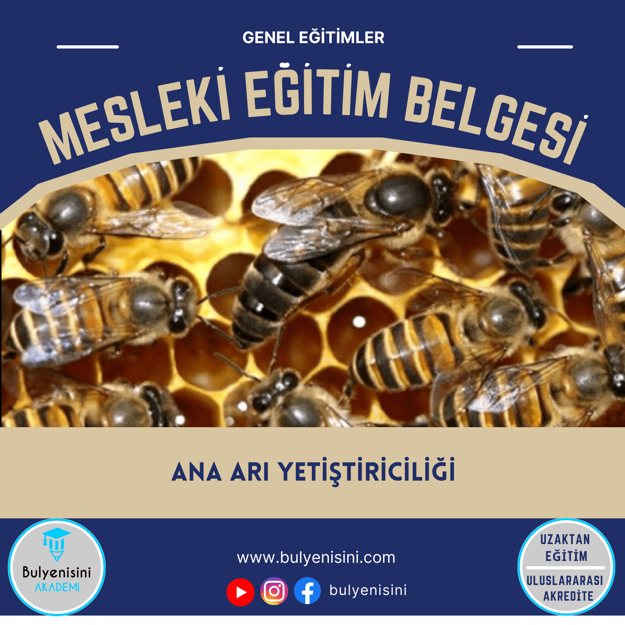 200 SAAT ANA ARI YETİŞTİRİCİLİĞİ EĞİTİMİ