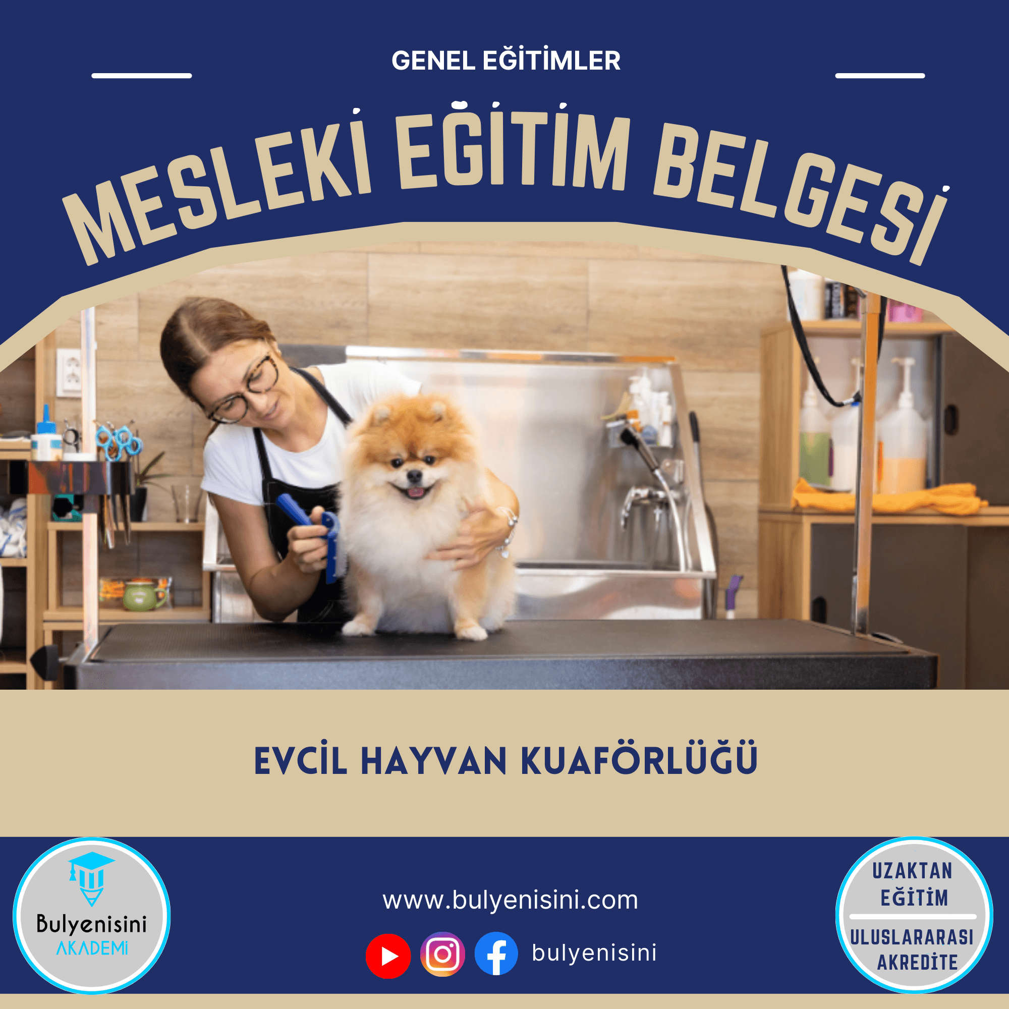 Evcil Hayvan Kuaförlüğü Kalfalık & Ustalık Sertifika ve Eğitim Programı (2 Belge)