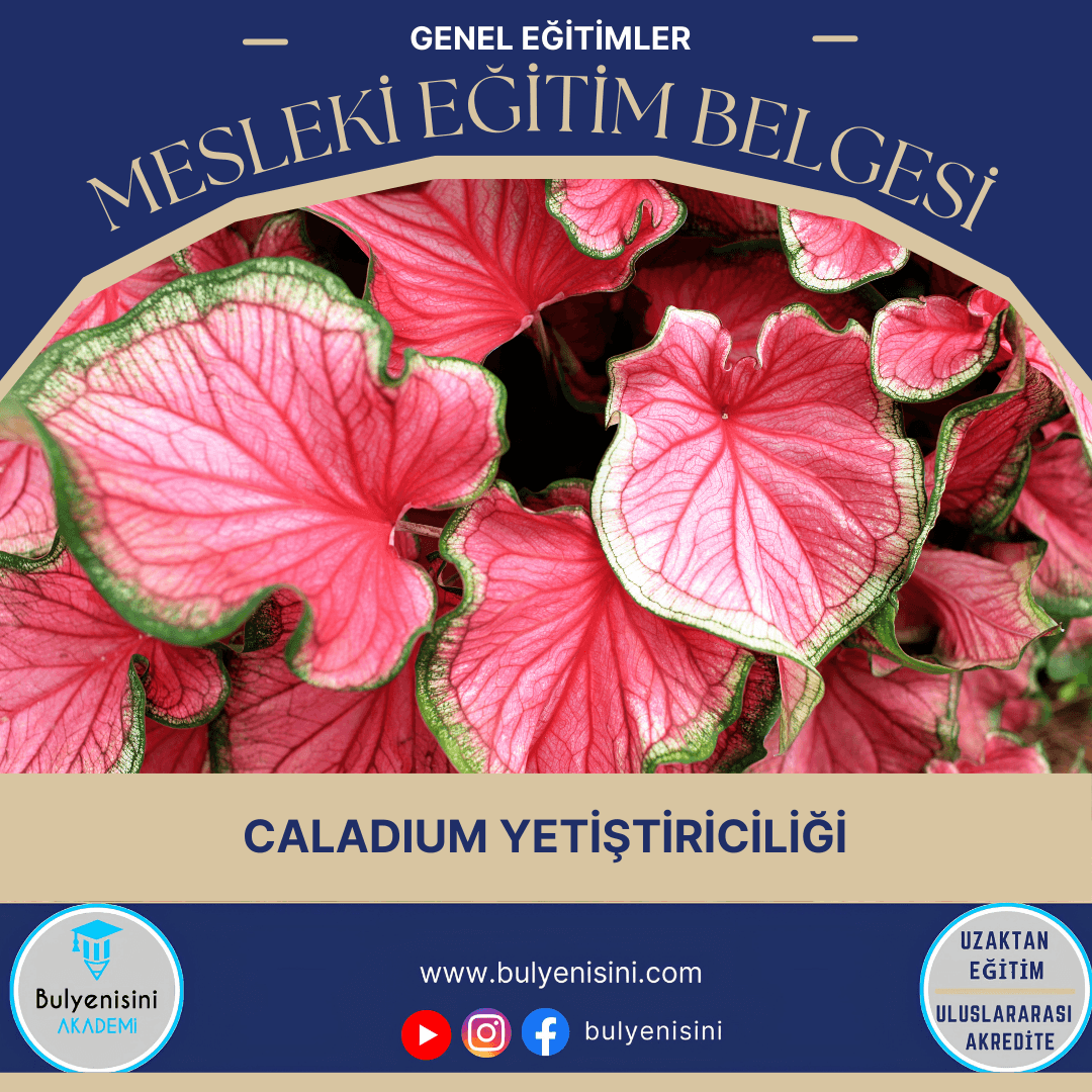 Caladium Yetiştiriciliği Sertifika Programı