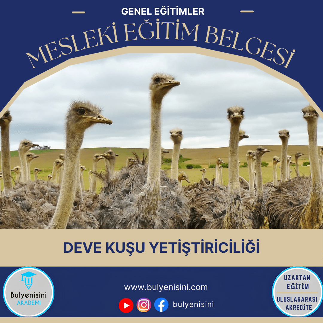 Deve Kuşu Yetiştiriciliği Sertifika Programı