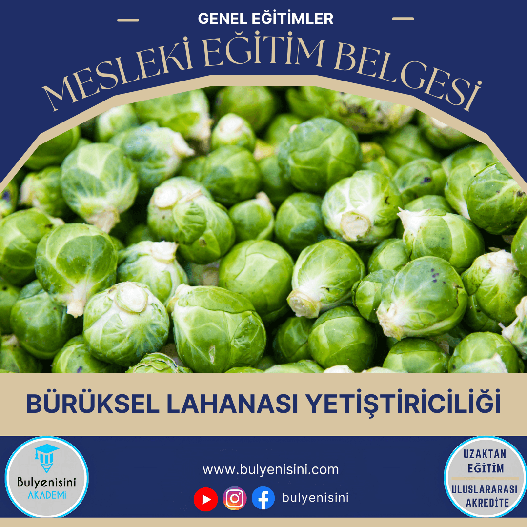 Bürüksel Lahanası Yetiştiriciliği Sertifika Programı