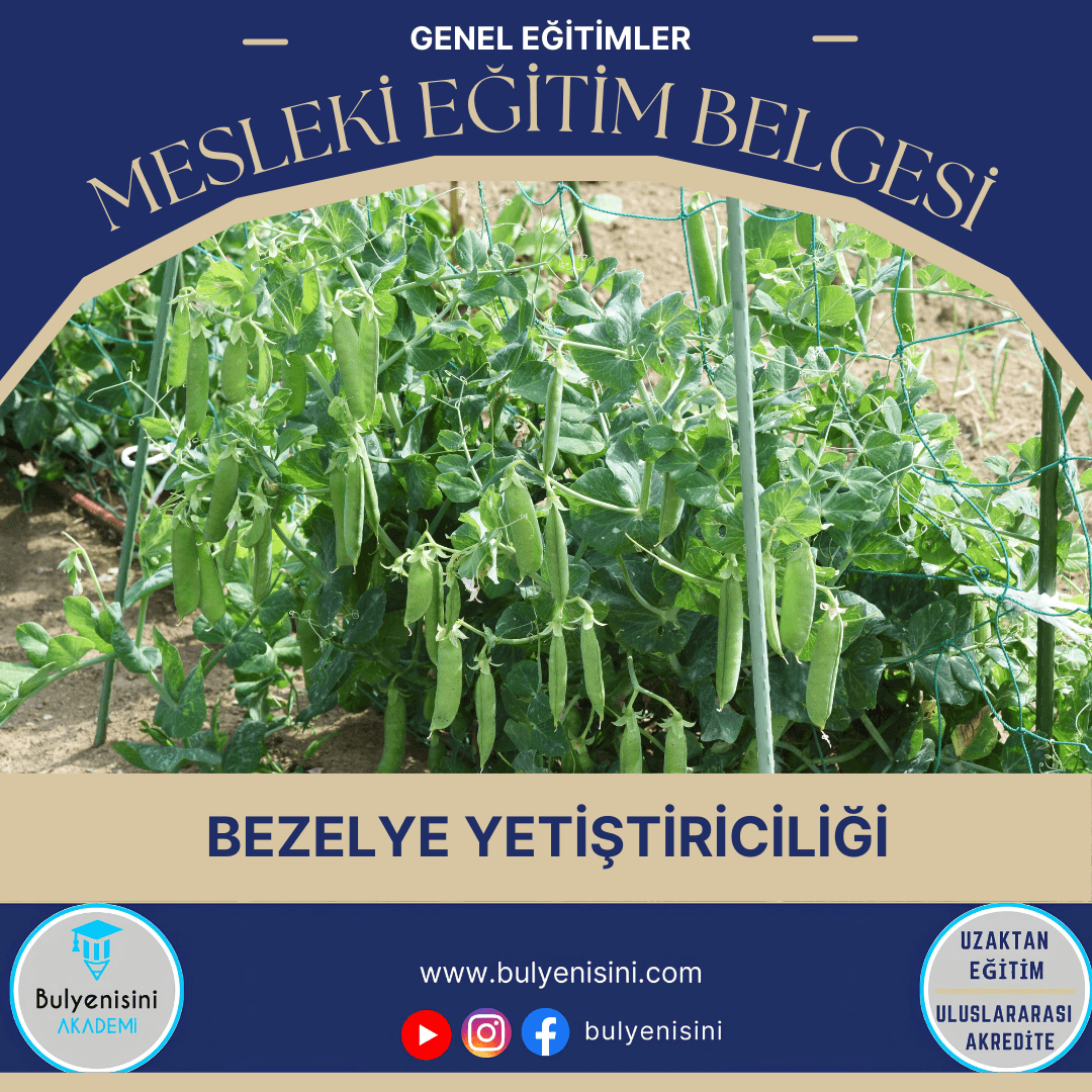 Bezelye Yetiştiriciliği Sertifika Programı