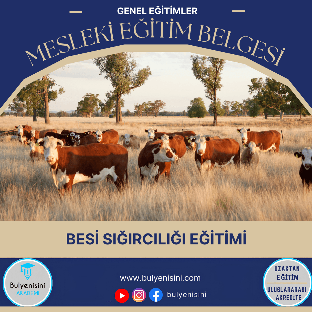 BESİ SIĞIRCILIĞI EĞİTİMİ