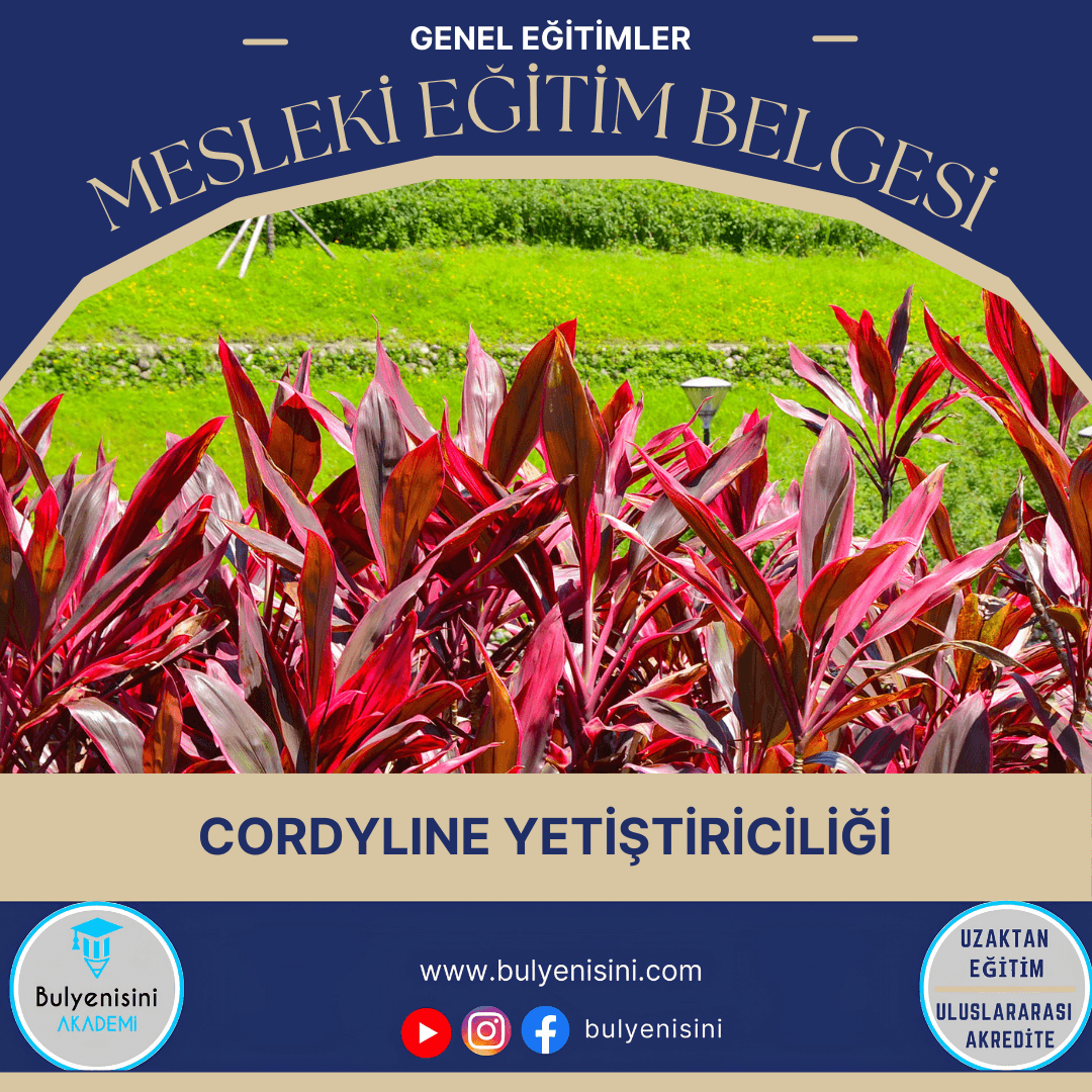 Cordyline Yetiştiriciliği Sertifika Programı