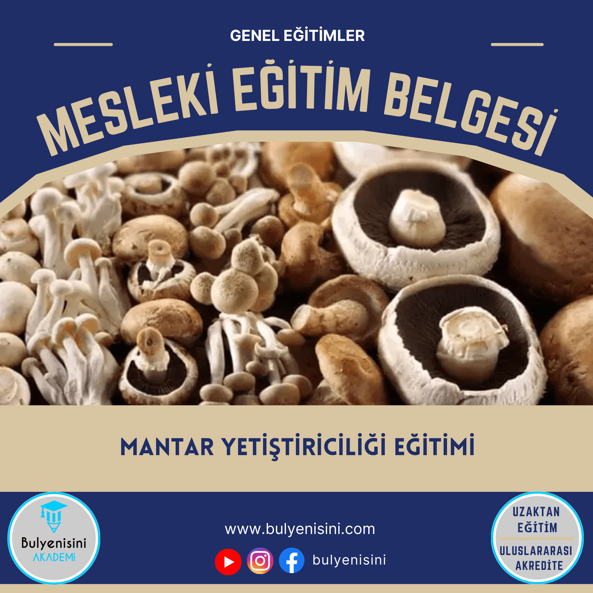 120 Saat MANTAR YETİŞTİRİCİLİĞİ EĞİTİMİ