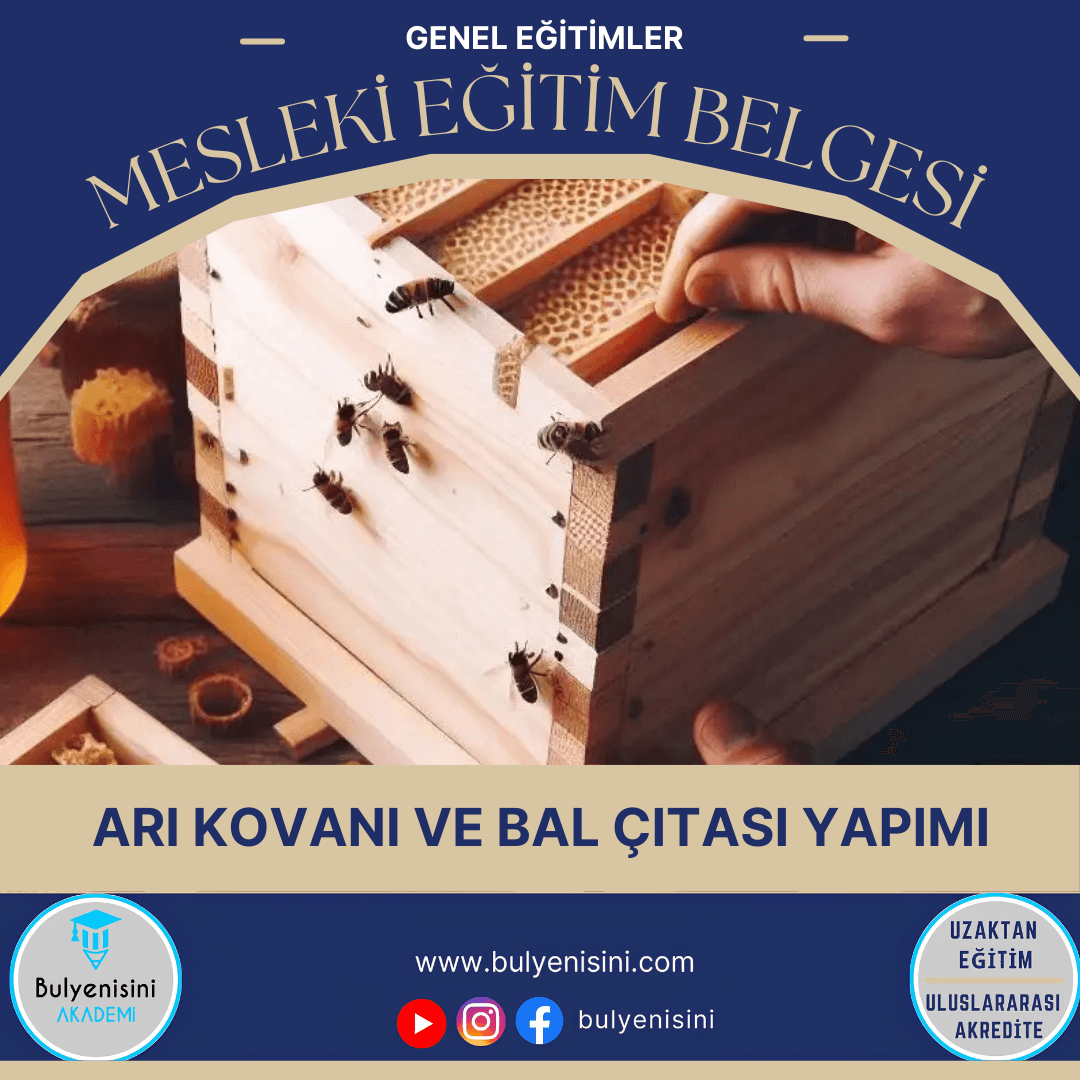 Arı Kovanı Ve Bal Çıtası Yapımı Sertifika Programı