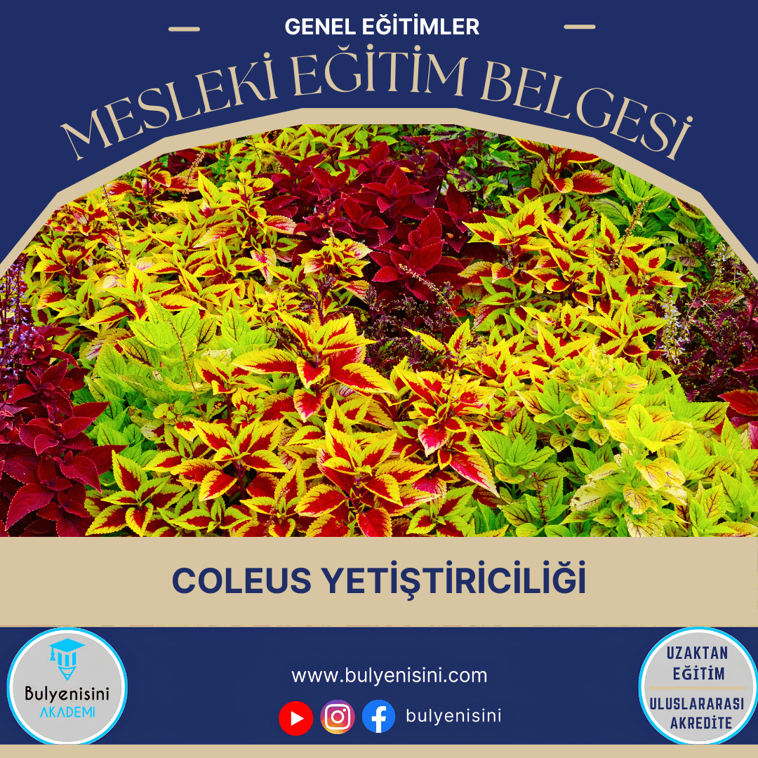 Coleus Yetiştiriciliği Sertifika Programı