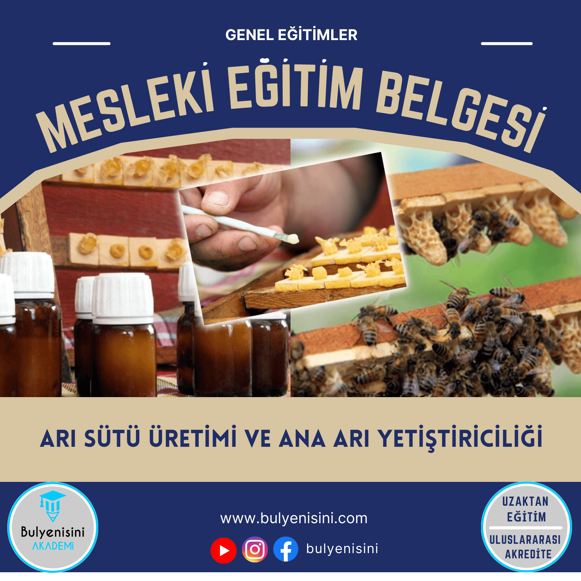 Arı Sütü Üretimi Ve Ana Arı Yetiştiriciliği Sertifika Programı