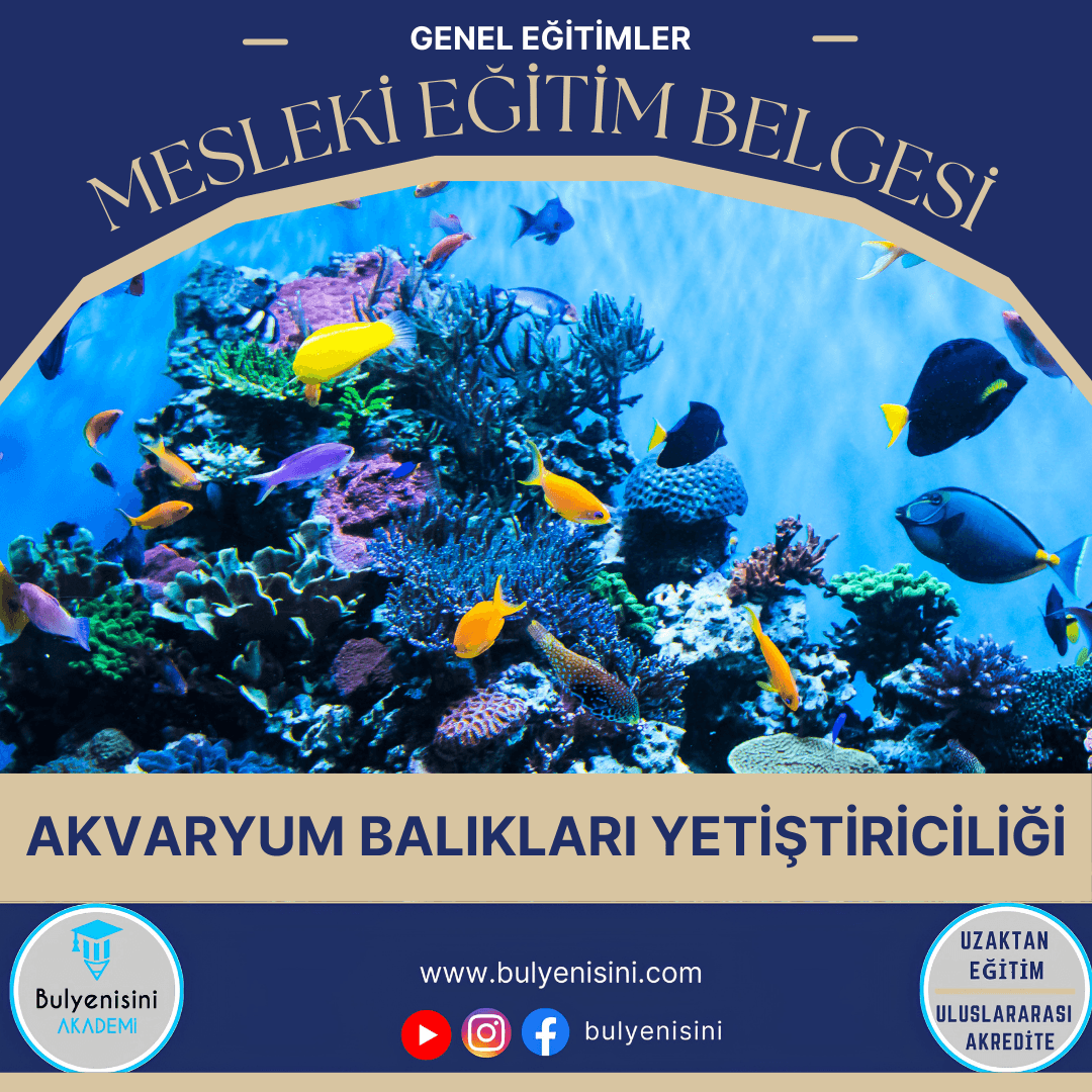 160 SAATLİK AKVARYUM BALIKLARI YETİŞTİRİCİLİĞİ EĞİTİMİ