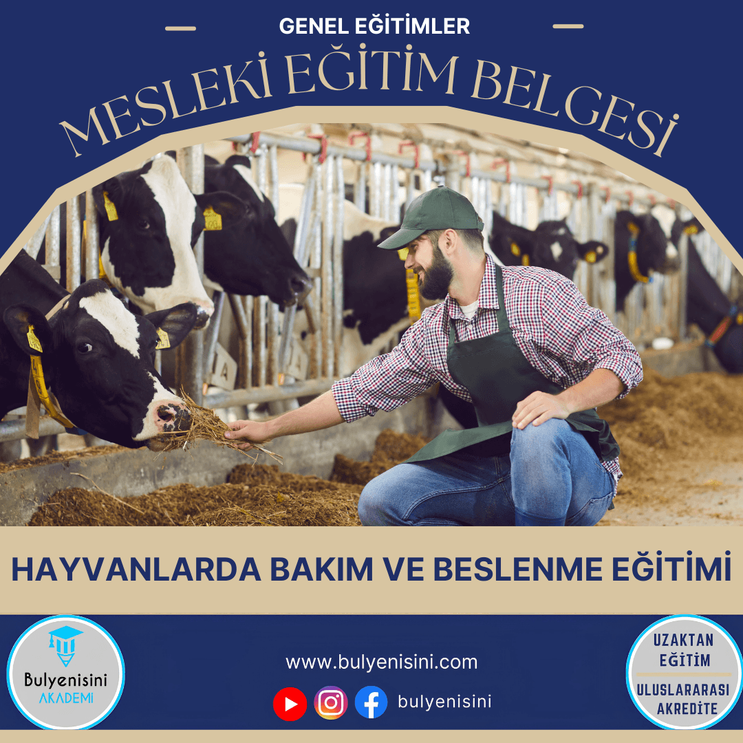 40 Saatlik Hayvanlarda Bakım Ve Beslenme Eğitimi