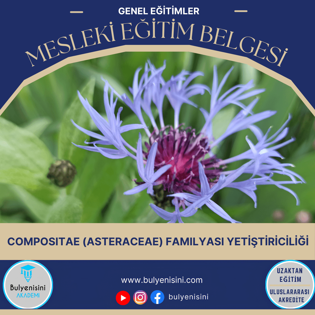 Compositae Familyası Yetiştiriciliği Sertifika Programı