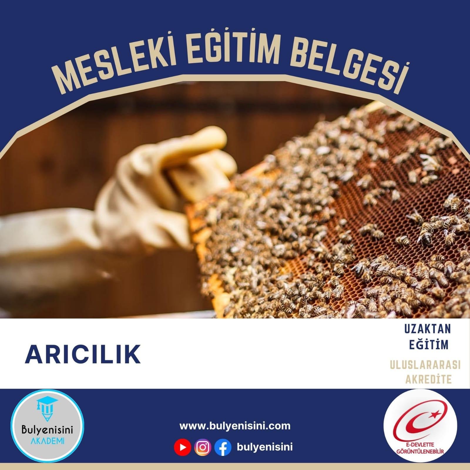 Arıcılık Eğitimi