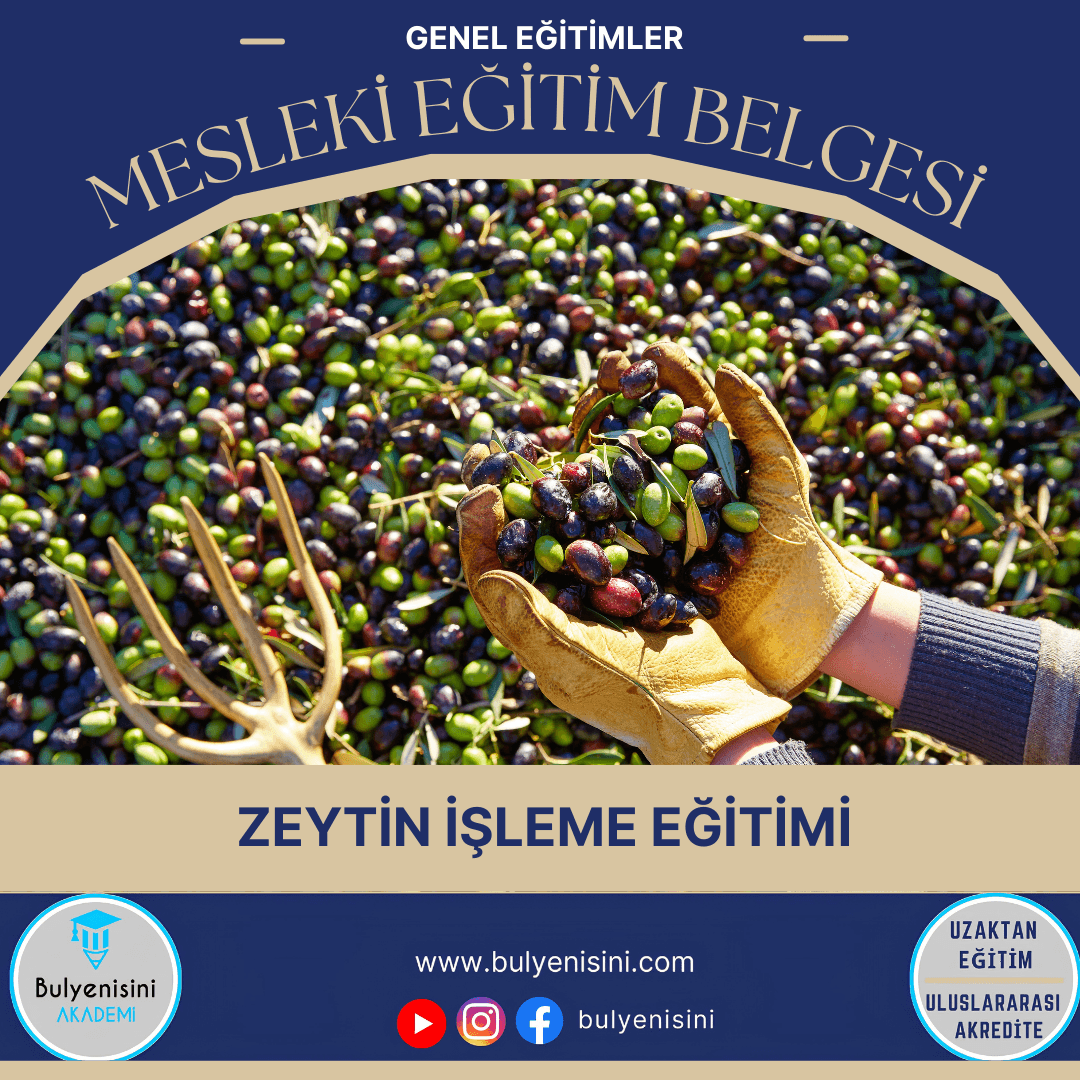 Zeytin İşleme Kalfalık & Ustalık Sertifika ve Eğitim Programı (2 Belge)