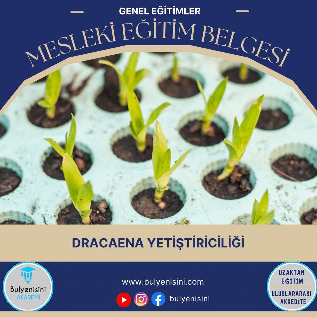 Dracaena Yetiştiriciliği Sertifika Programı