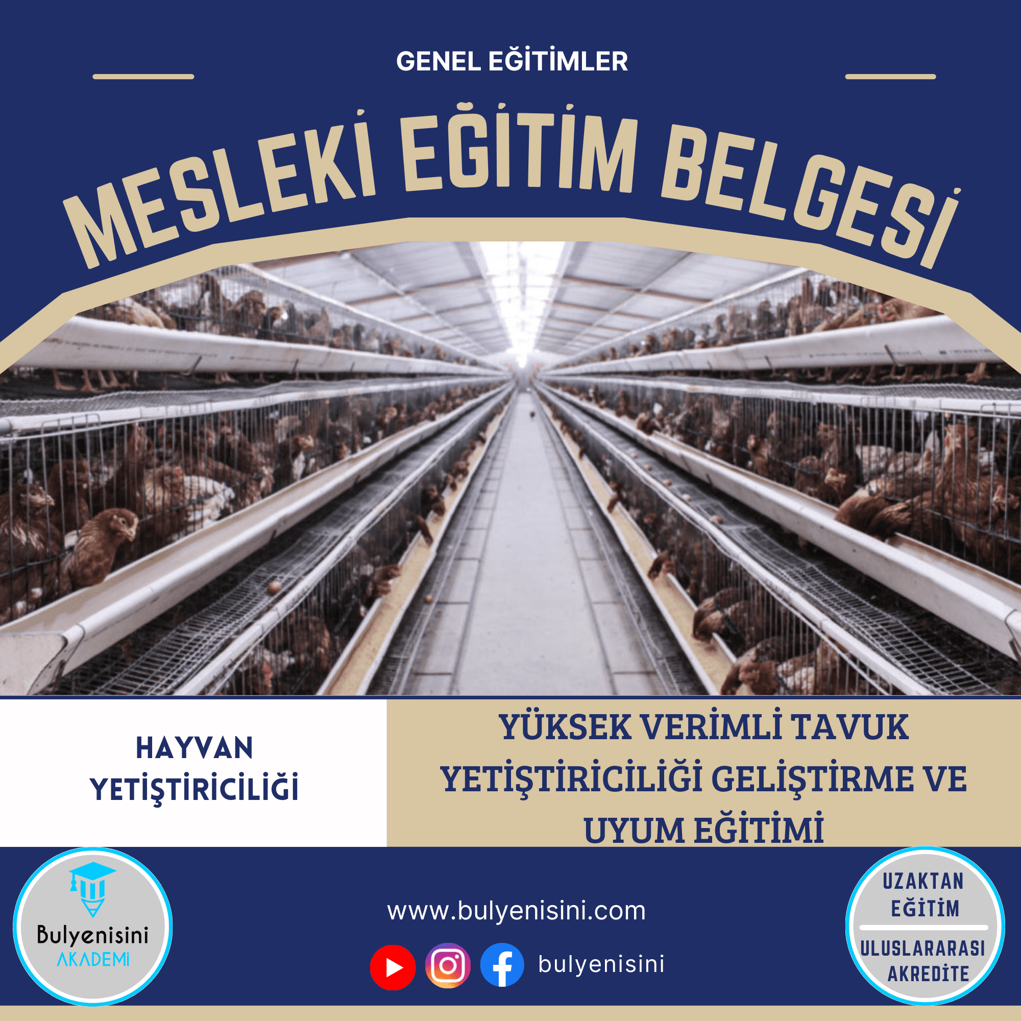Yüksek Verimli Tavuk Yetiştiriciliği Geliştirme Ve Uyum Eğitimi Sertifika Programı