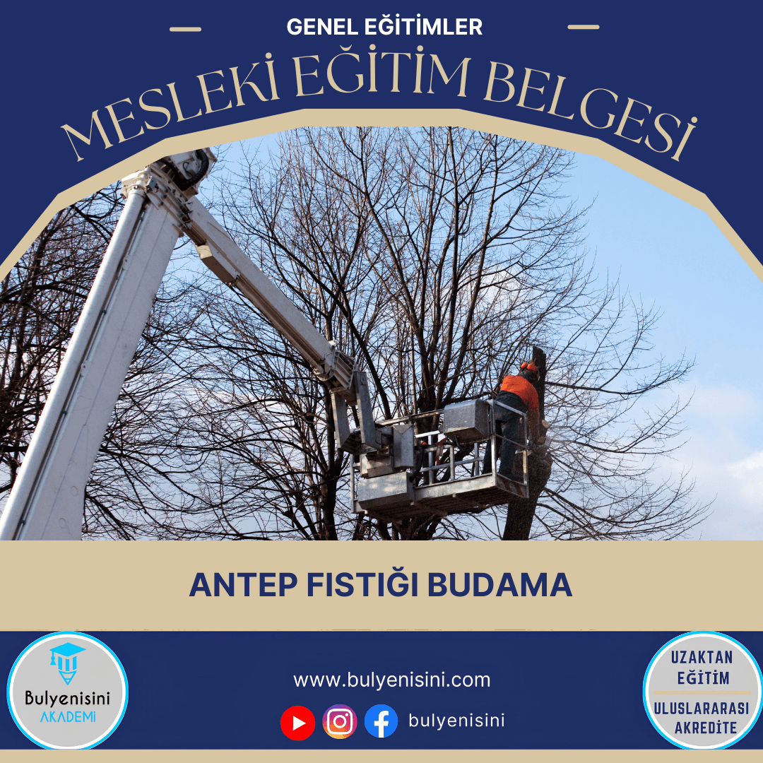 Antepfıstığı Budama