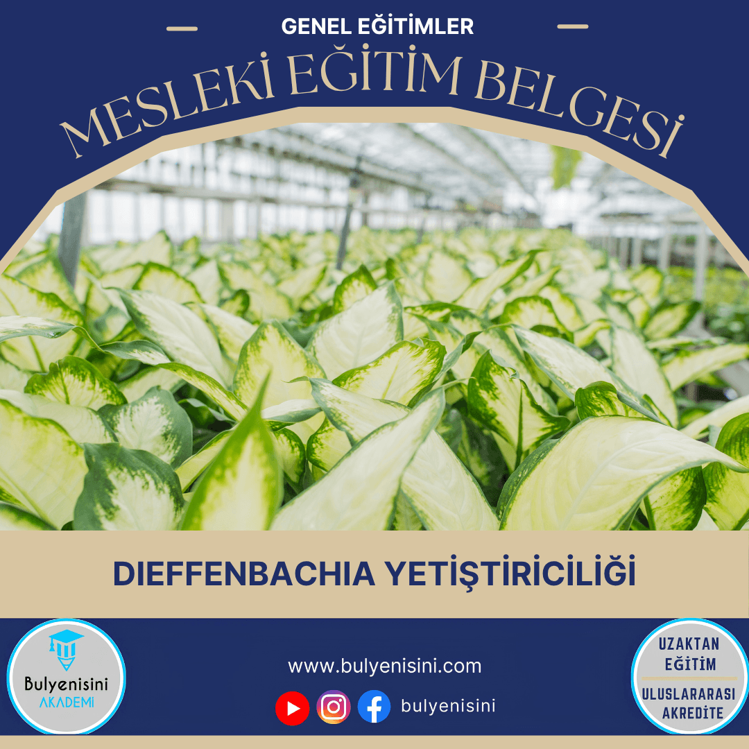 Dieffenbachia Yetiştiriciliği Sertifika Programı