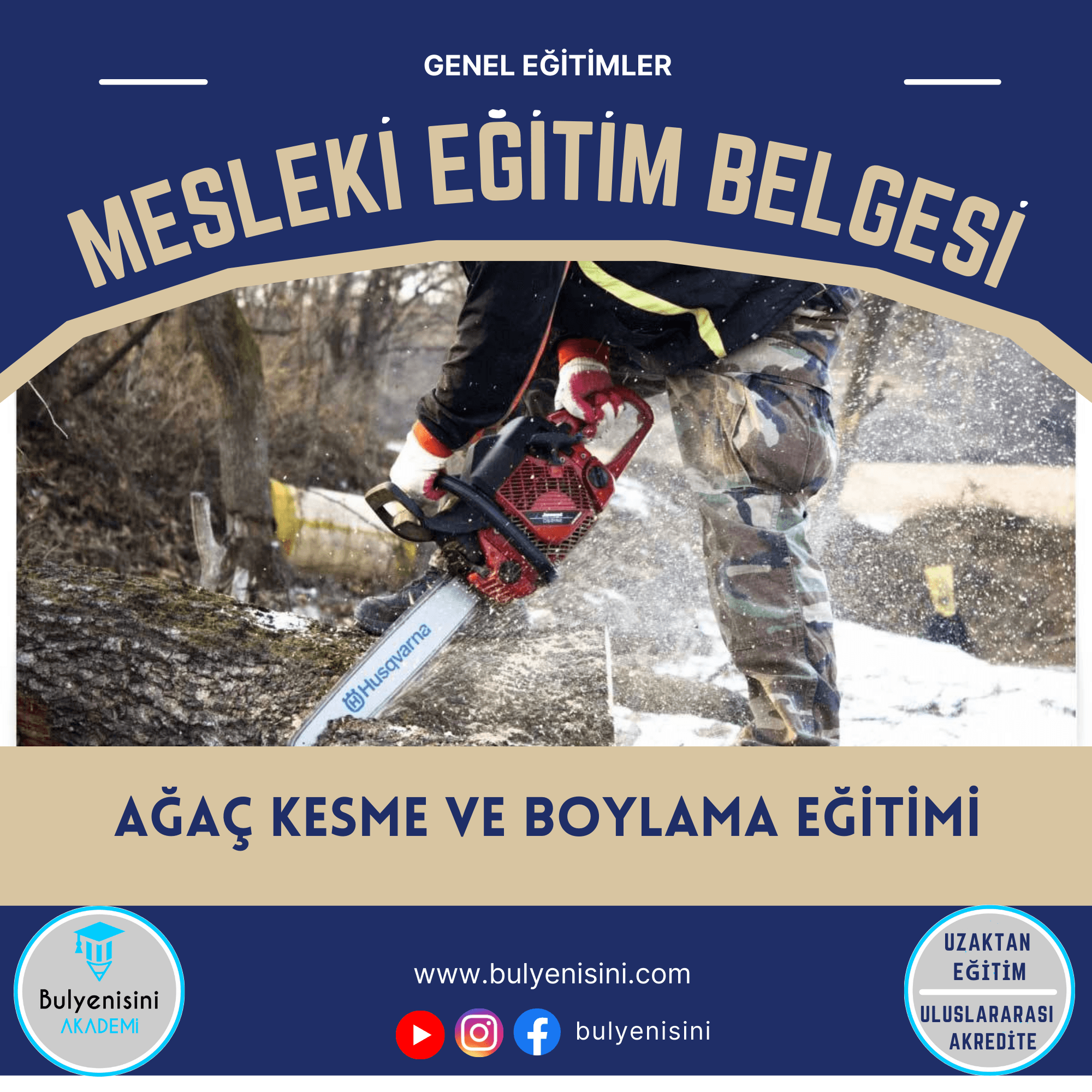 100 SAAT AĞAÇ KESME VE BOYALAMA