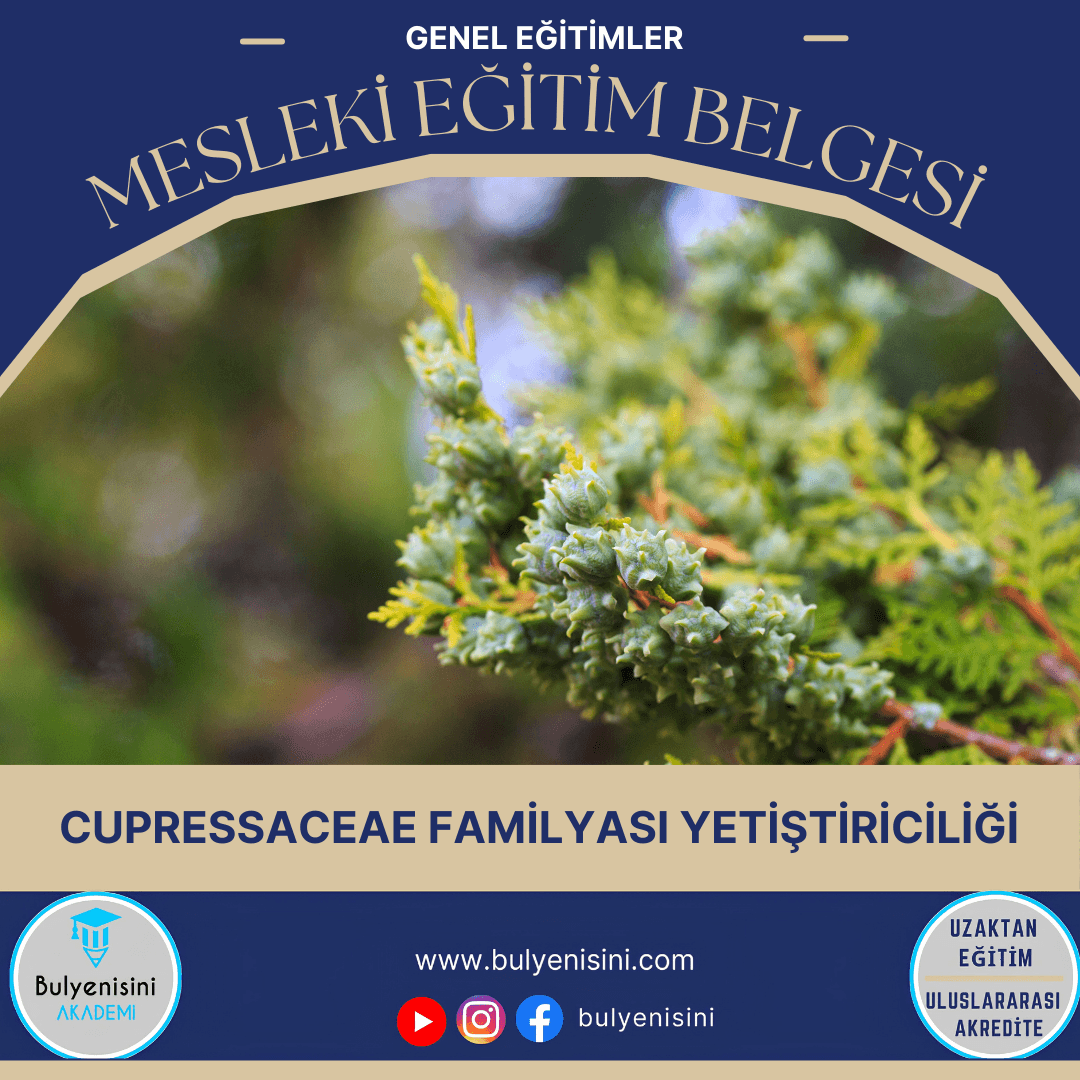 Cupressaceae Familyası Yetiştiriciliği Sertifika Programı