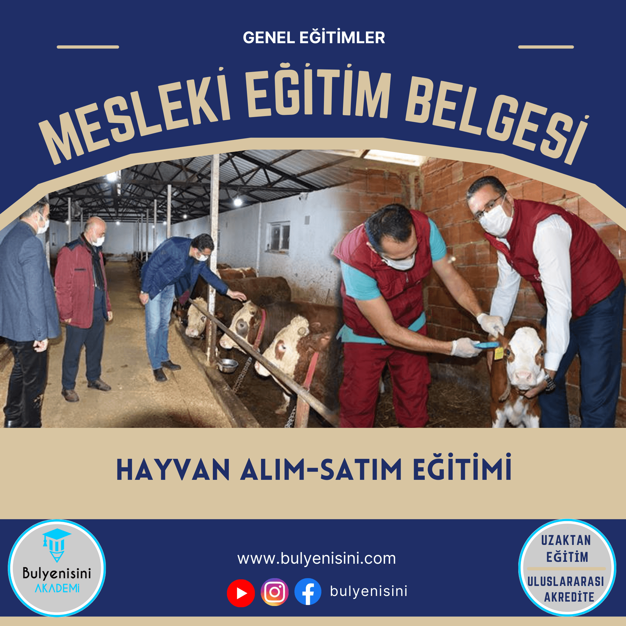 100 SAAT HAYVAN ALIM SATIM ELEMANI