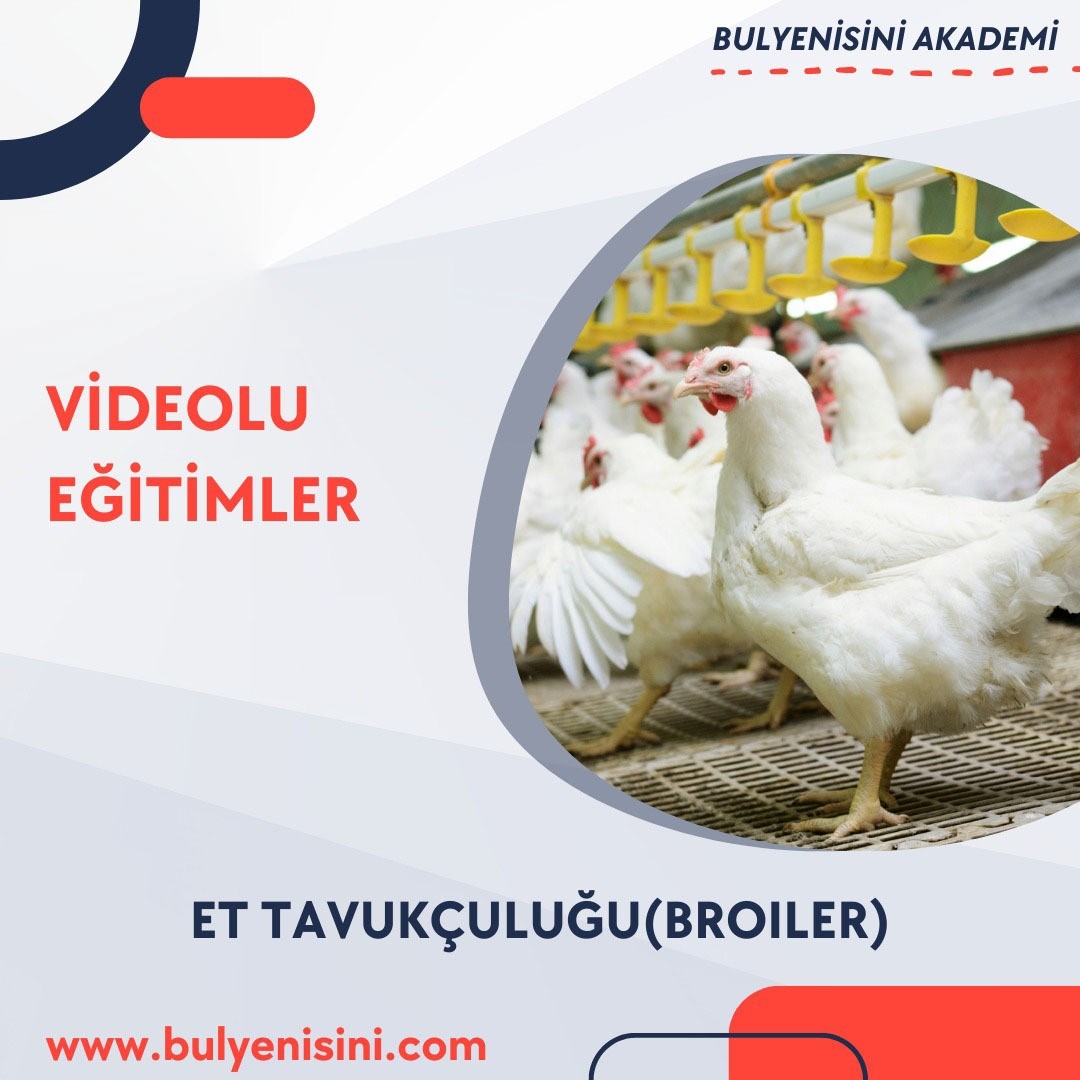 ET TAVUKÇULUĞU(BROILER) 120 SAAT
