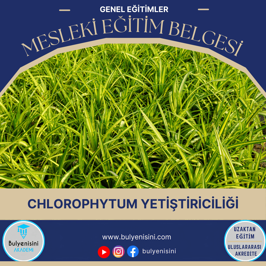 Chlorophytum Yetiştiriciliği Sertifika Programı