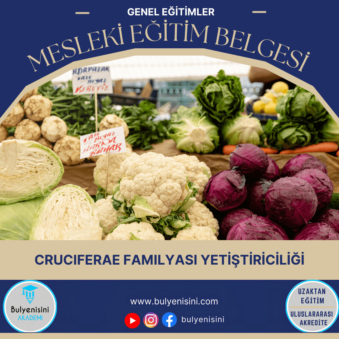 Curciferea Familyası Yetiştiriciliği Sertifika Programı