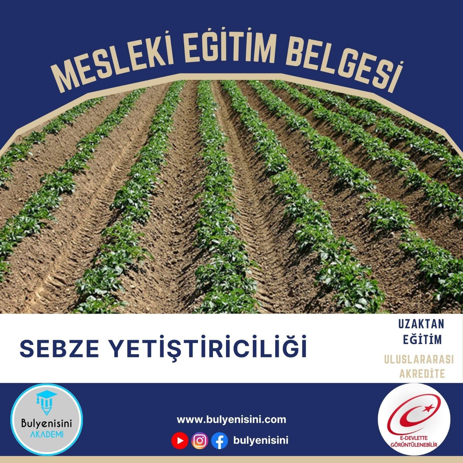 Sebze Yetiştiriciliği Sertifika Programı
