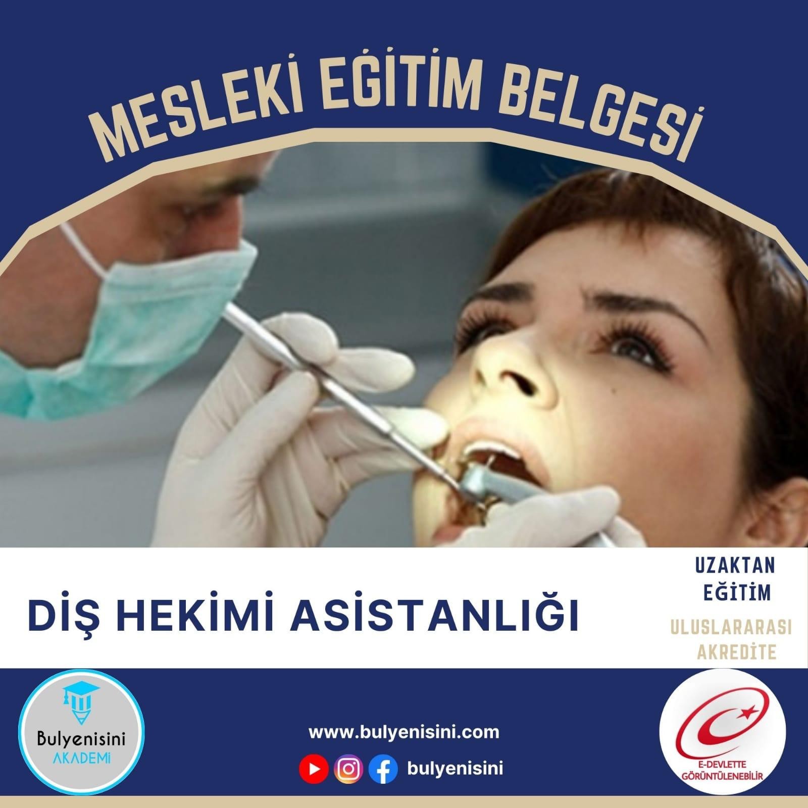 560 Saatlik Diş Hekimi Yardımcı Personeli Eğitimi