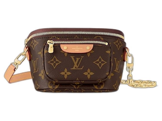 Louis Vuitton Mini Bumbag