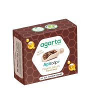 Agarta