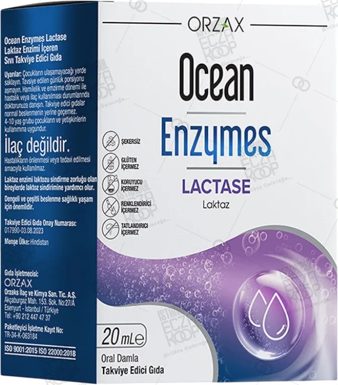 OCEAN ENZYMES LACTASE DAMLA 20 ML