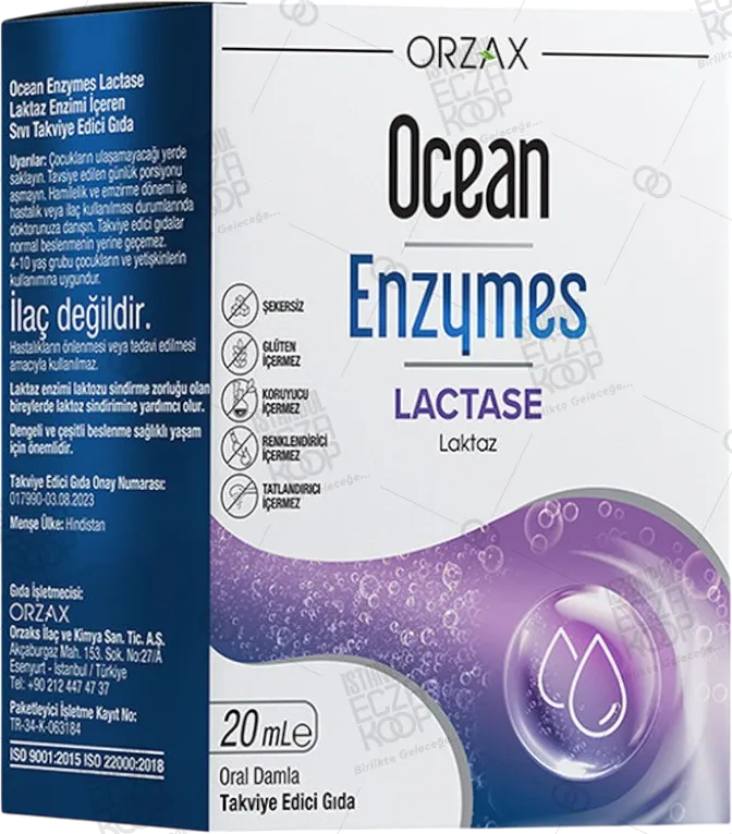 OCEAN ENZYMES LACTASE DAMLA 20 ML