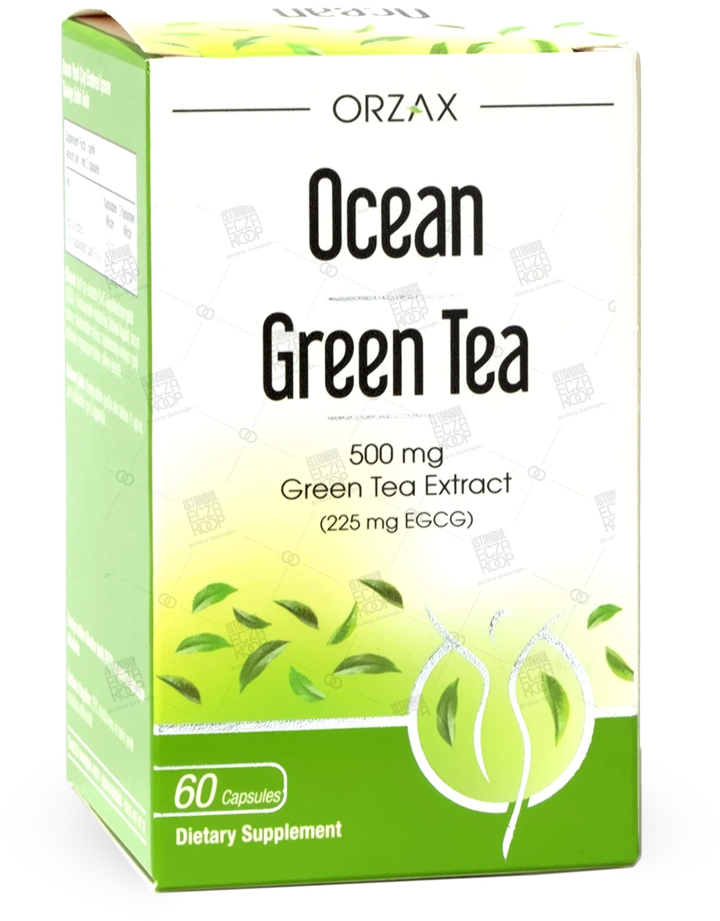 OCEAN GREEN TEA 500 MG 60 KAPSUL