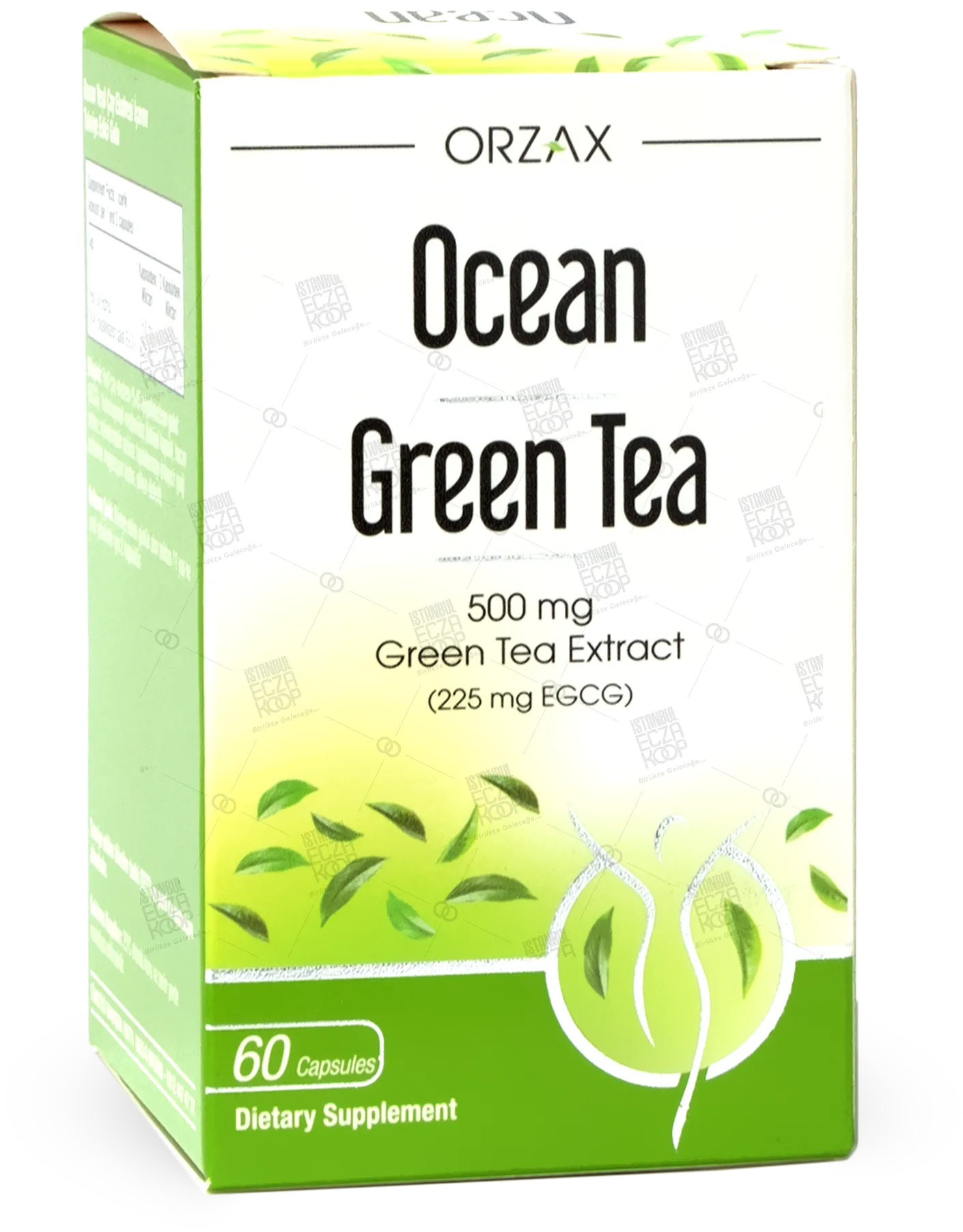 OCEAN GREEN TEA 500 MG 60 KAPSUL