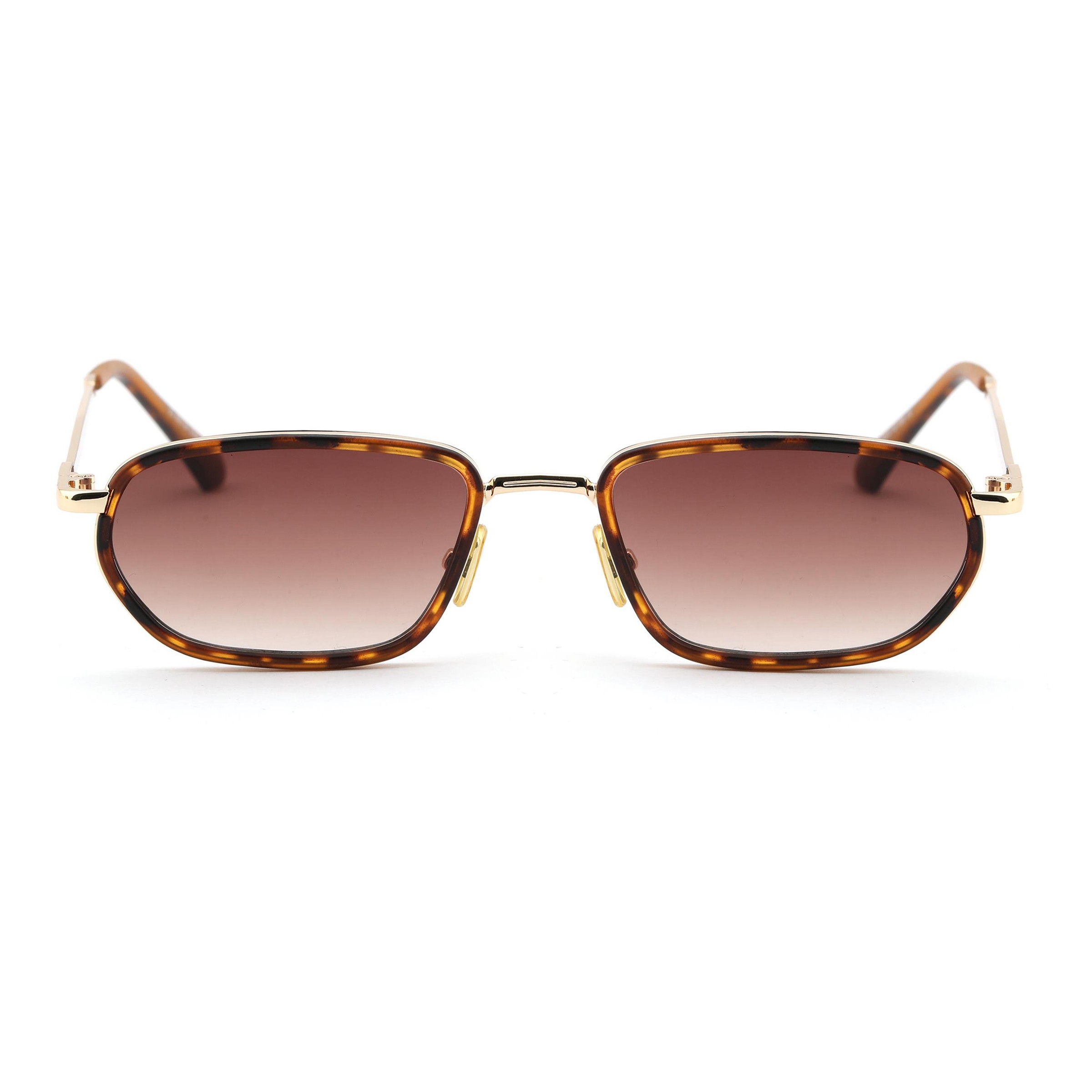 IN FRAME – Linecut Gold Çerçeveli - Tortoise Touch - Degrade Kahverengi Gözlük